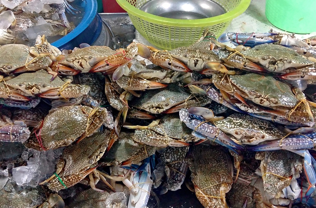 港式地道清蒸螃蟹，口感鲜美，一学就会的家常美食