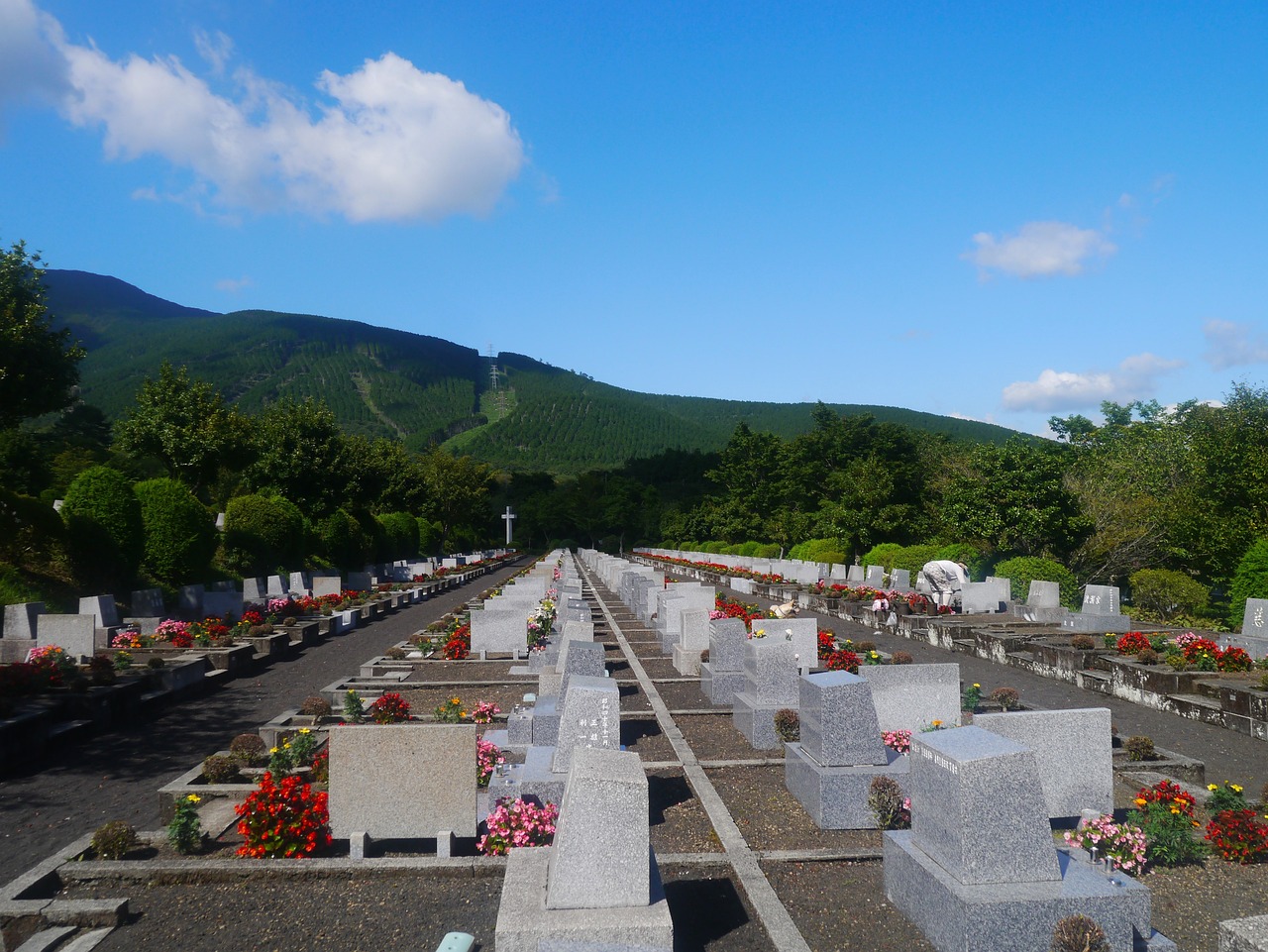 哀牢山本地人发声，文化传承与生态保护的心声